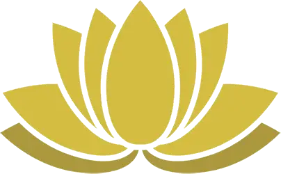 fleur lotus